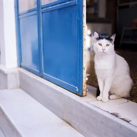 فيلة Naxos Cental Double Semi Basement Private Balcony 200m From Naxos City