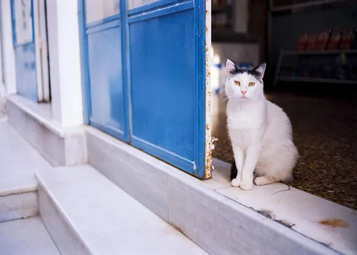 Villa Naxos Cental Double Semi Basement Private Balcony 200m From Naxos City